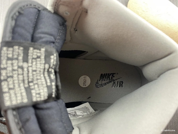 DZ2523-001 Twist 1 High 2.0 OG Air WMNS Jordan 1110